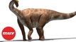 Los Turiasaurios, ¿los primeros dinosaurios gigantes?