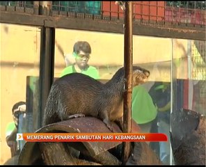 Memerang penarik sambutan Hari Kebangsaan