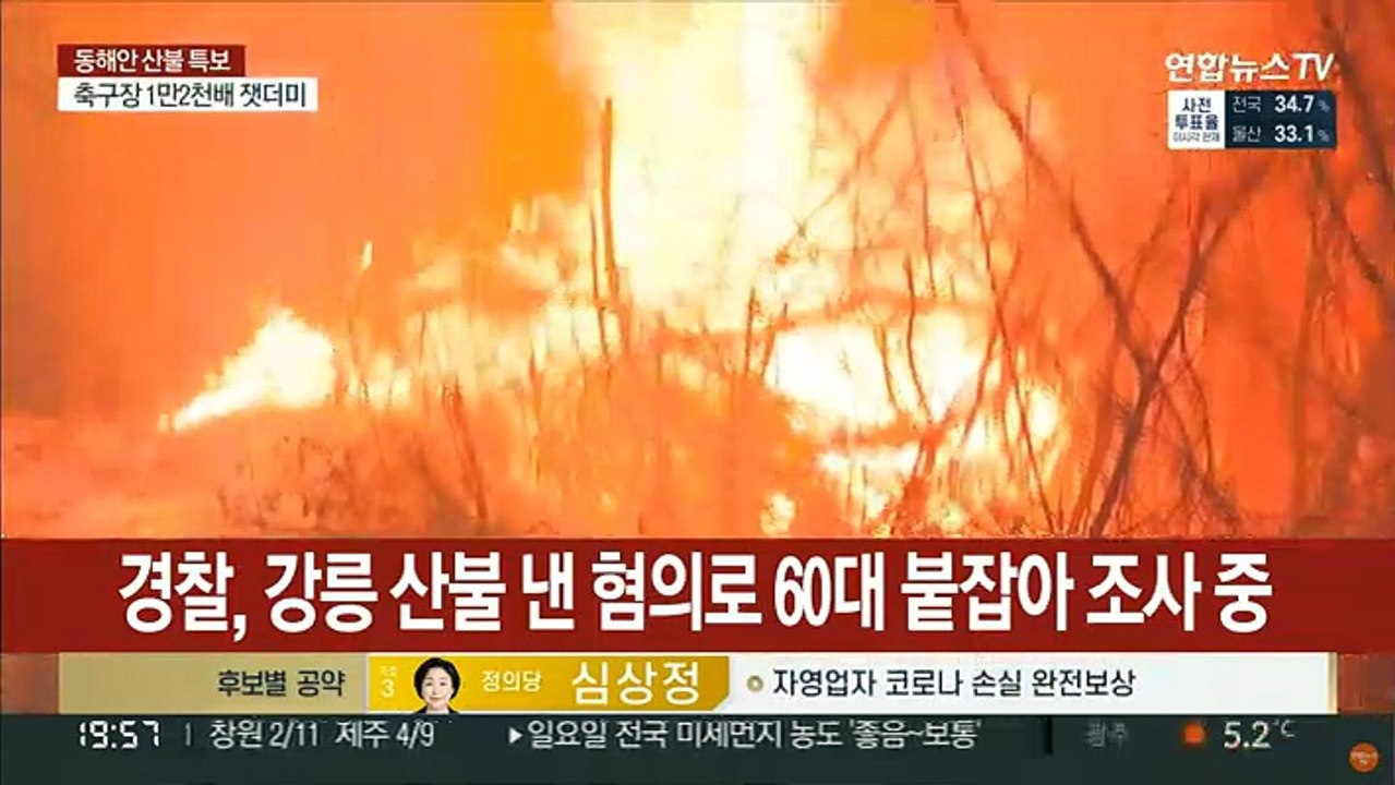 강릉 산불 낸 60대 현행범 체포…"주민이 수년간 무시해 범행"
