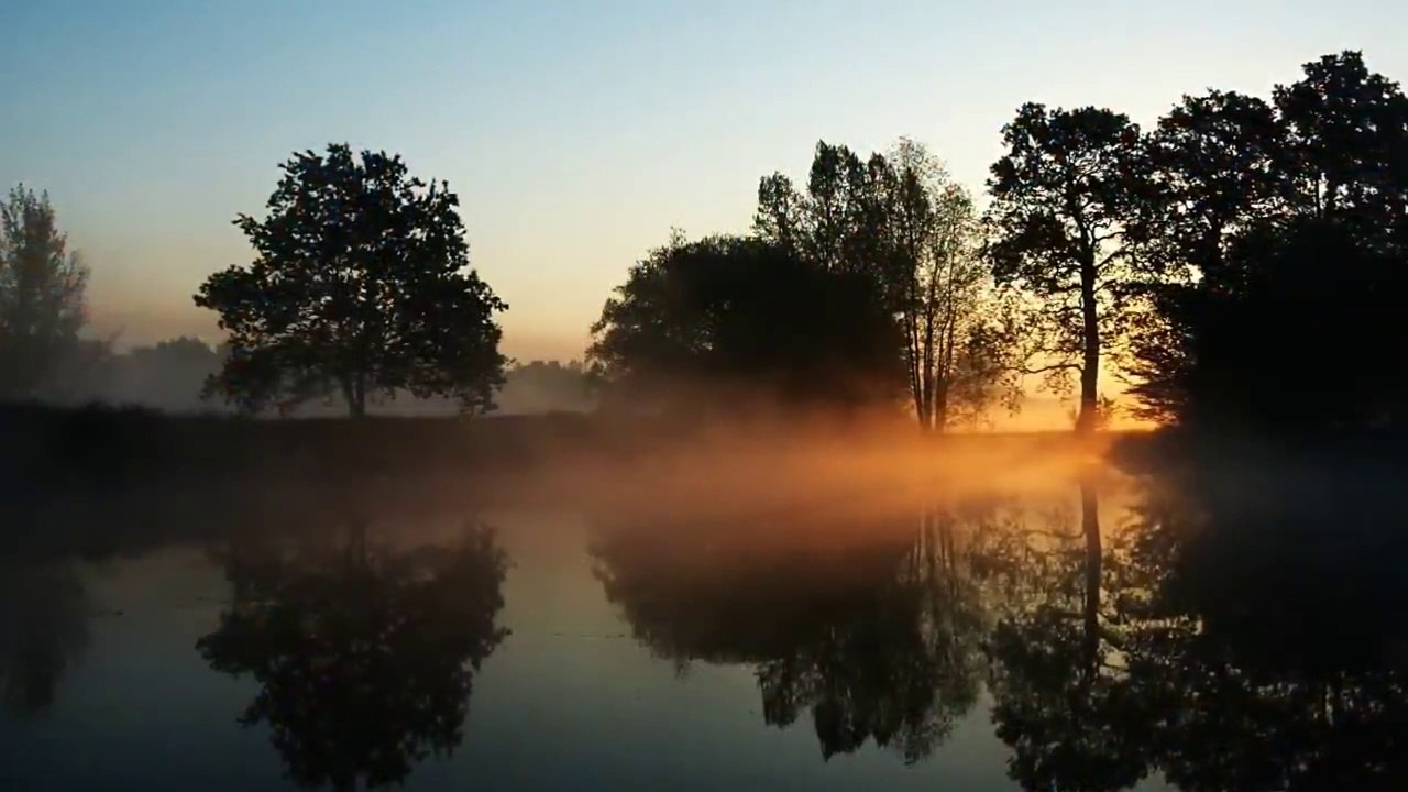 30 Minute Relaxing Sleep Music - Nature Sounds, Meditation Music, Study Music, Sleep Meditation 2580D