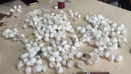 Kadınlar ipek böceği kozasından gelin ve damat süsü üretiyor