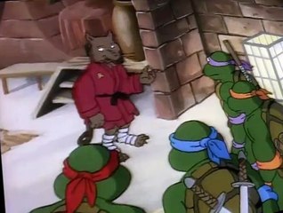Teenage Mutant Ninja Turtles S04 E40
