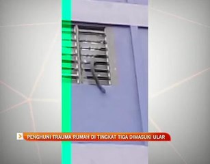 Penghuni trauma rumah di tingkat tiga dimasuki ular
