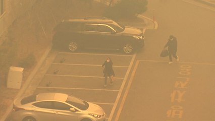 산불에 포위된 동해 시가지...피난길에 오른 시민들 / YTN