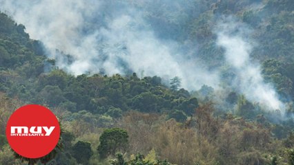 Tải video: Así destruye el humo de los incendios la capa de Ozono