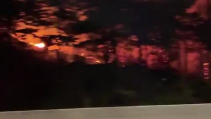 강릉 산불 동해로 확산...산림 500ha·건물 60여 동 피해 / YTN