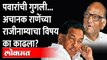 ...मग राणेंचा राजीनामा का नाही घेतला?, पवार असं का बोलले? Sharad Pawar | Narayan Rane Resignation