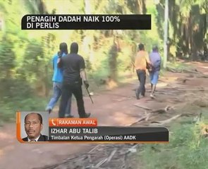 Lokasi Perlis antara sebab peningkatan penagih dadah
