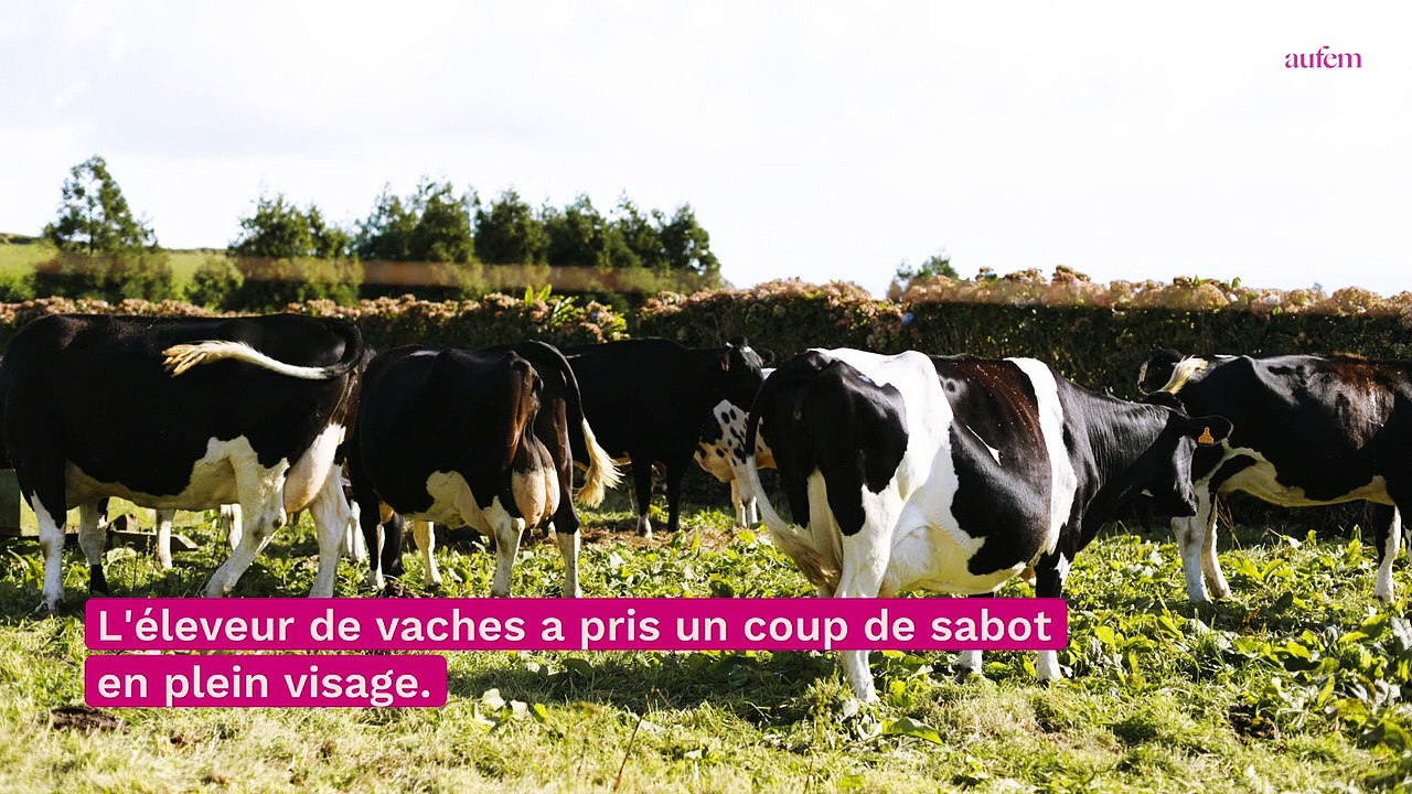 L'amour est dans le pré : un candidat victime d'un grave accident, sa compagne s'exprime