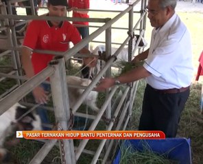 Pasar ternakan hidup bantu penternak dan pengusaha
