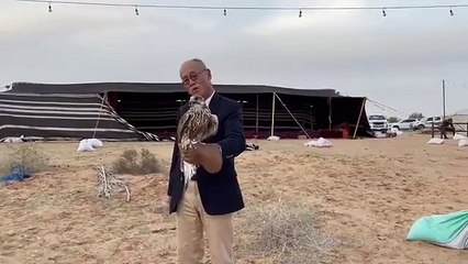 لأول مرة في حياتي شاهدت الصقر عن قرب ووجدت كم هو جميل ووسيم