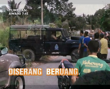AWANI 7:45 malam ini: Maut diserang beruang, Malaysia kurang pakar keluarga dan FFM28 bercanggah perlembagaan?