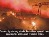 Southern France battles bush fires as 1,000 evacuated