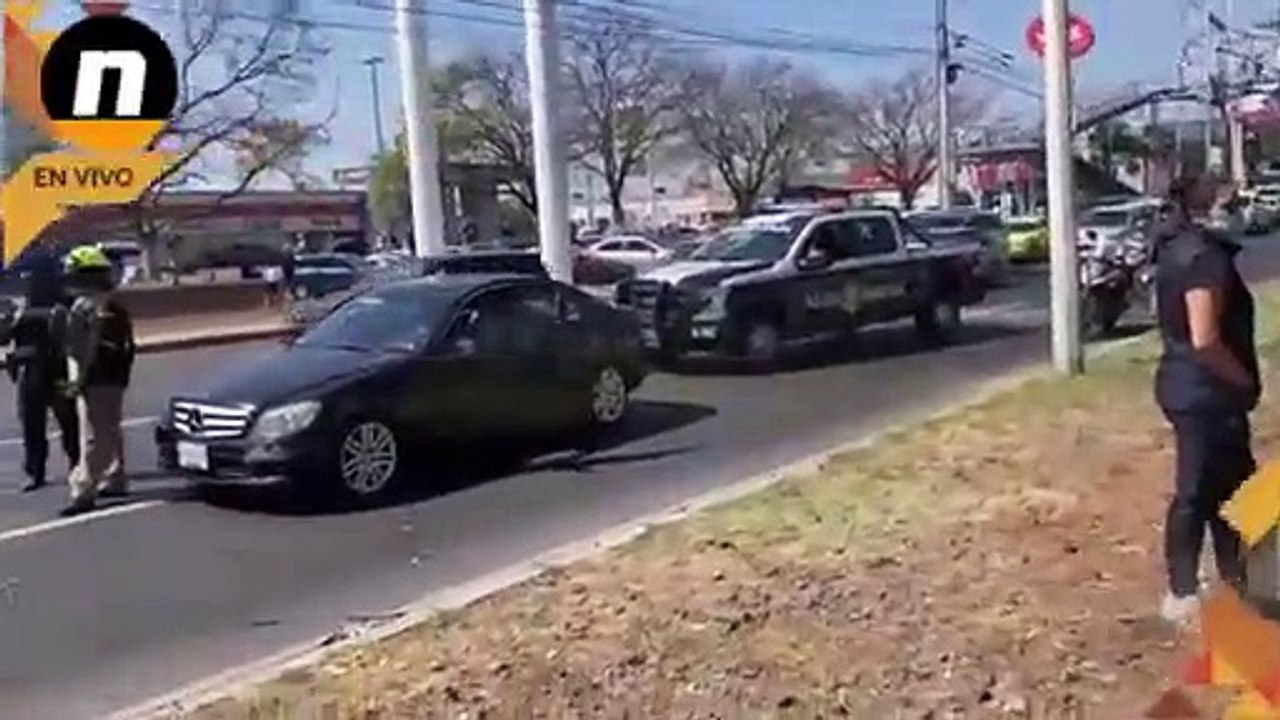 Árbol cae sobre auto en la lateral de Bernardo Quintana