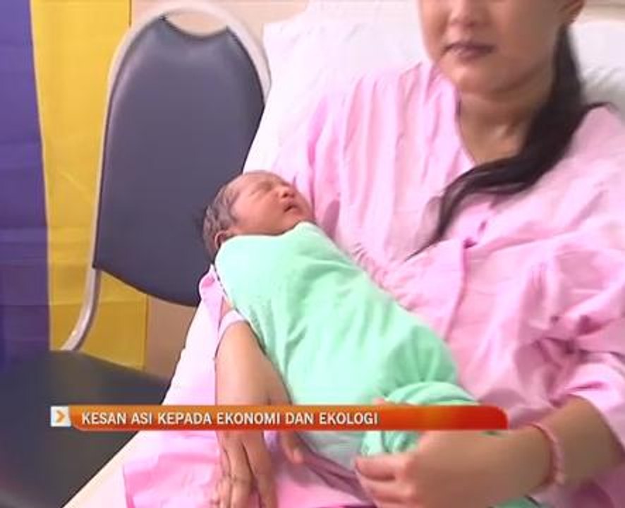 Kesan ASI kepada ekonomi dan ekologi