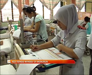 Kes denggi minggu 29 menurun