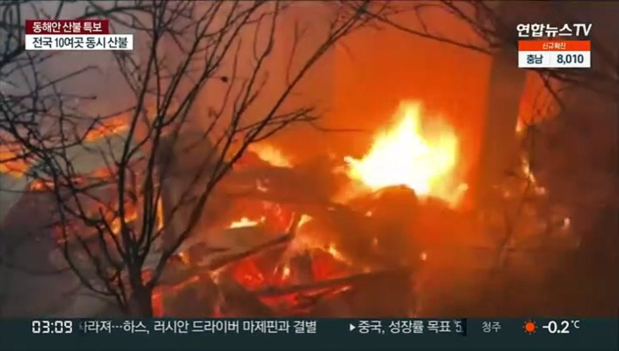 강풍에 동해로 번진 옥계 산불…3년전 악몽 떠올라