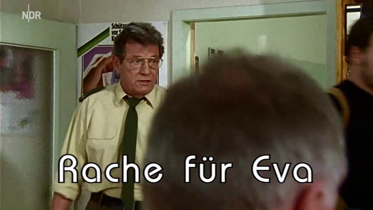 Großstadtrevier - 159. Rache für Eva