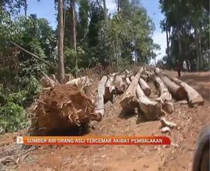 Sumber air Orang Asli tercemar akibat pembalakan