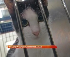 Tidak peka keperluan kembiri haiwan