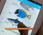 Aplikasi bantu banteras tangkapan ikan tidak lestari