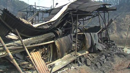 울진·삼척 산불 사흘째...피해 눈덩이 / YTN