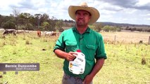 Pain relief usage on the increase | March 2022 | Queensland Country Life