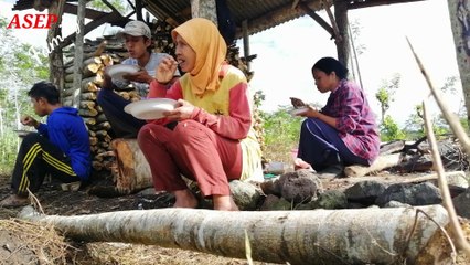 Aktivitas pagi hari di kebun petani lereng semeru,memotong kayu sengon dan menyangkul untuk menanam jagung,indahnya hidup di desa
