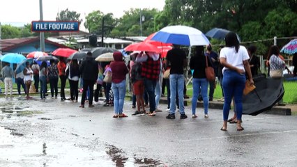 PFIZER, USE IT OR LOSE IT