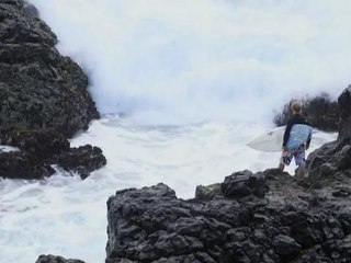 Australian shark attacks prompt new 'eco barriers'