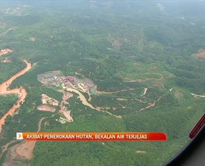 Akibat penerokaan hutan, bekalan air terjejas