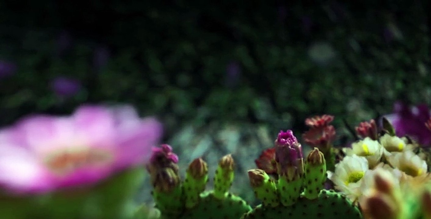 Night on Earth S01 E01