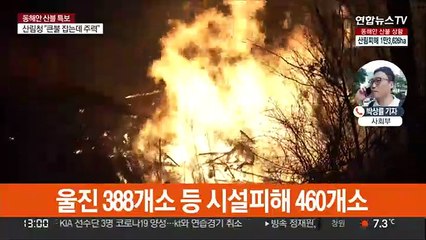강원 산불 산림 피해 1만4,222ha 잠정 집계