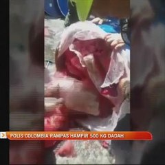 Polis Colombia rampas hampir 500 kg dadah