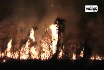 பசிறு மலையில் காட்டுத்தீ;  மூலிகை செடிகள் எரிந்து நாசம்!