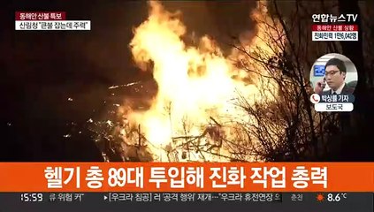 강원 산불 산림 피해 1만4,222ha 잠정 집계