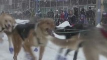 Las carreras de trineos tirados por perros regresan a Alaska tras el parón de la pandemia
