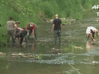 Gold rush still irresistable in Poland