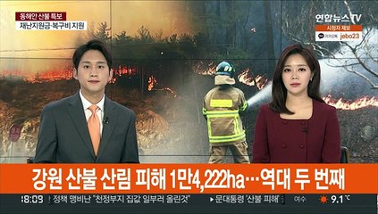 강원 산불 산림 피해 1만4,222ha…역대 두번째