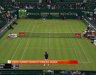 David Ferrer tewas di terbuka Weber