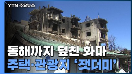 동해 도심까지 덮친 화마...주택·관광지 '잿더미' / YTN