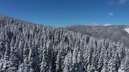 KASTAMONU - Ilgaz'da kar ve sis havadan görüntülendi