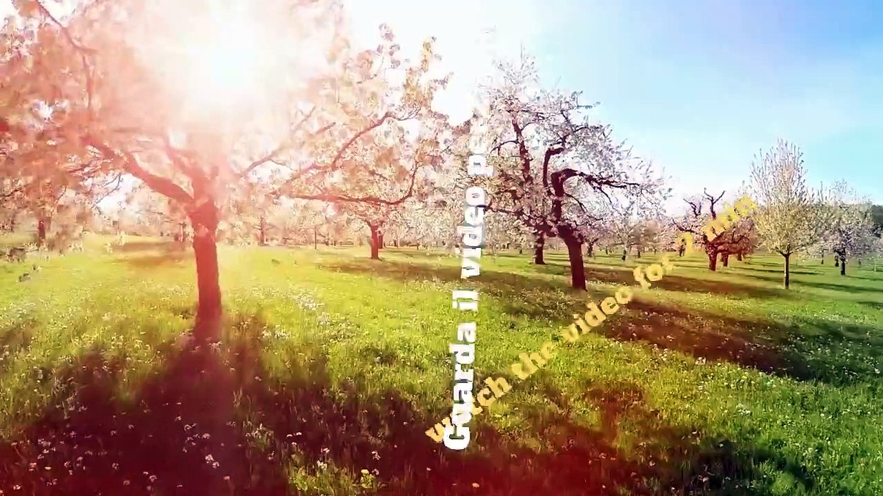 8D-Music RELAXING  nature sound birds-meditation,calm,peace audio 8D