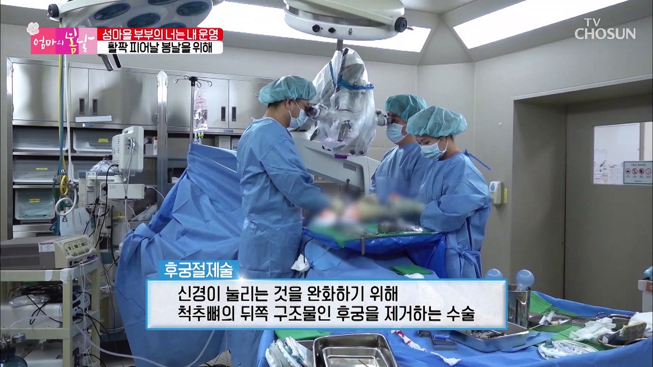 하루도 허리 펼 새 없이 살아왔던 엄마에게 찾아온 봄날 TV CHOSUN 202203...