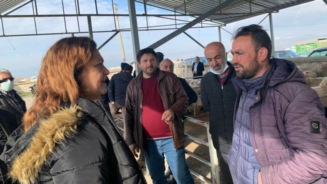 Çiftçi, CHP’li vekile dert yandı: Böyle maliyet olur mu ya!  Hayvancılık bitme noktasında