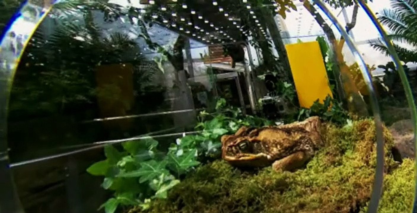 The Amazing Race Canada S01 E01