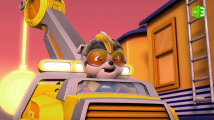 الجراء تصلح قضبان القطار