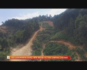 Isu Lebuhraya SUKE: Apa nasib Hutan Simpan Cheras?