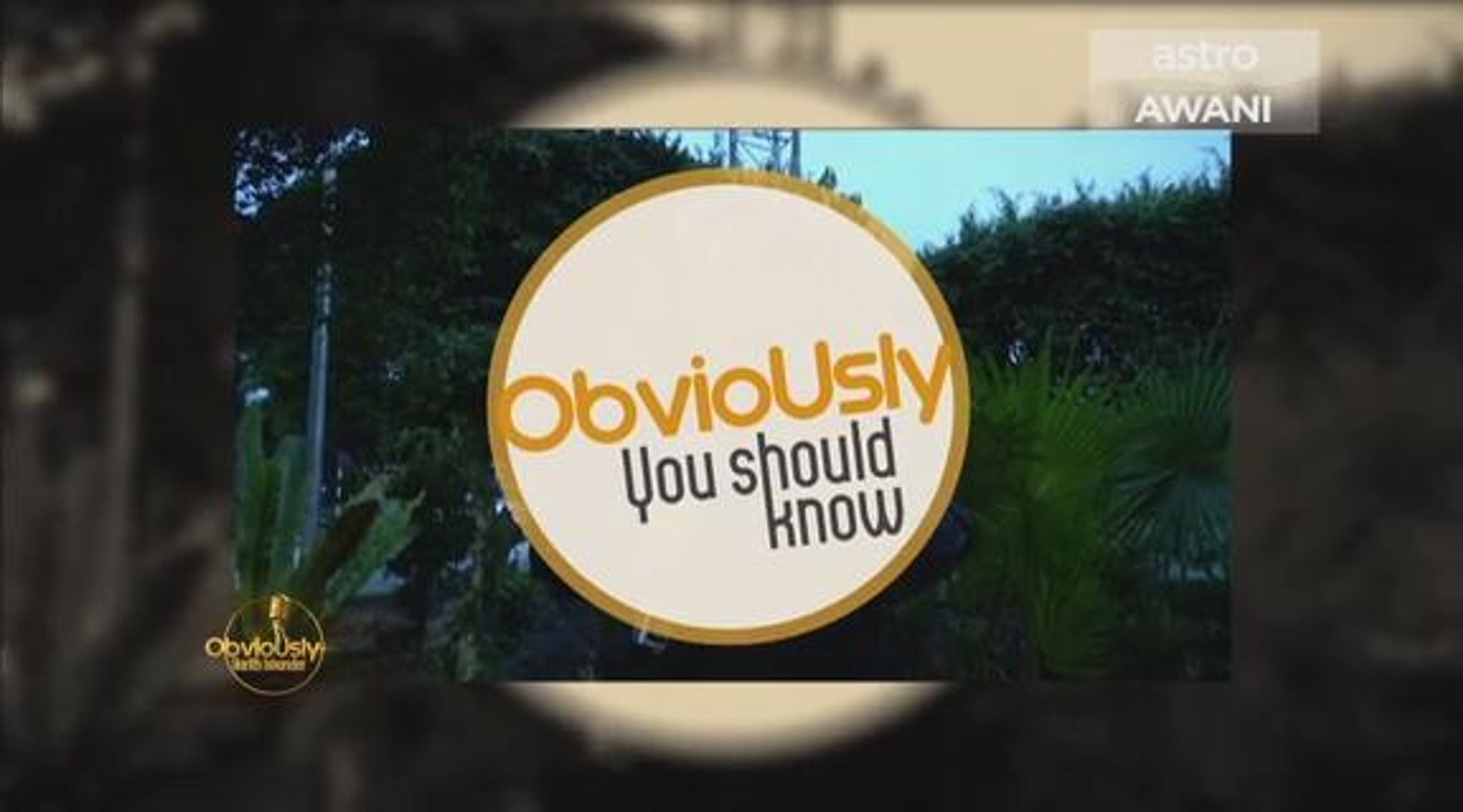 Obviously You Should Know: Which travel destination is fake?