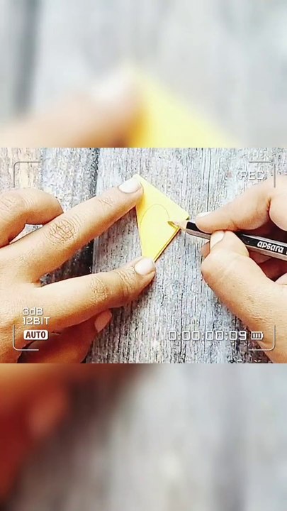 decorative frame creativity
